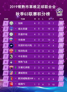 2018中乙足球积分榜，草根舞台上的热血与梦想